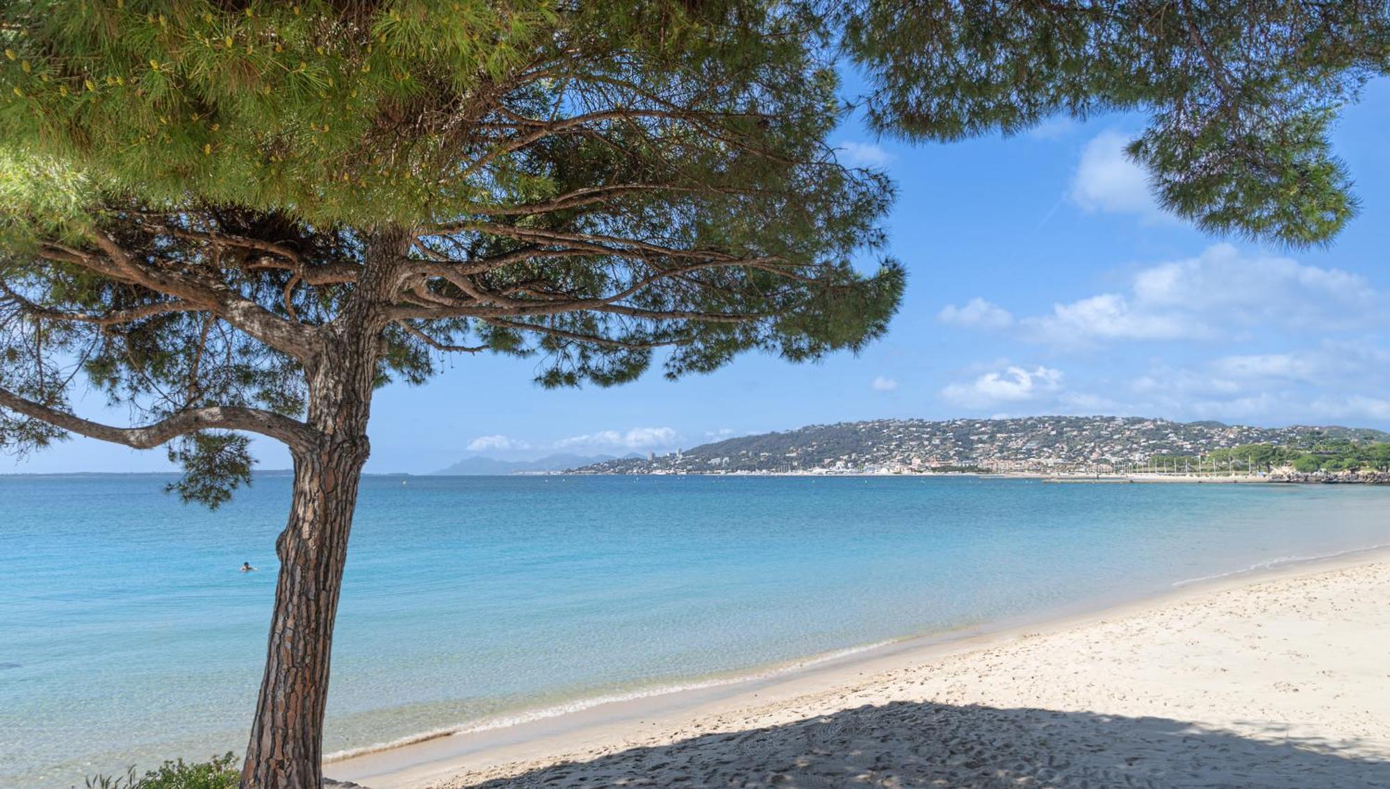 Les 15 Pins & La Mer -Your Green Getaway Near Sea & Beach Antibes Exteriér fotografie