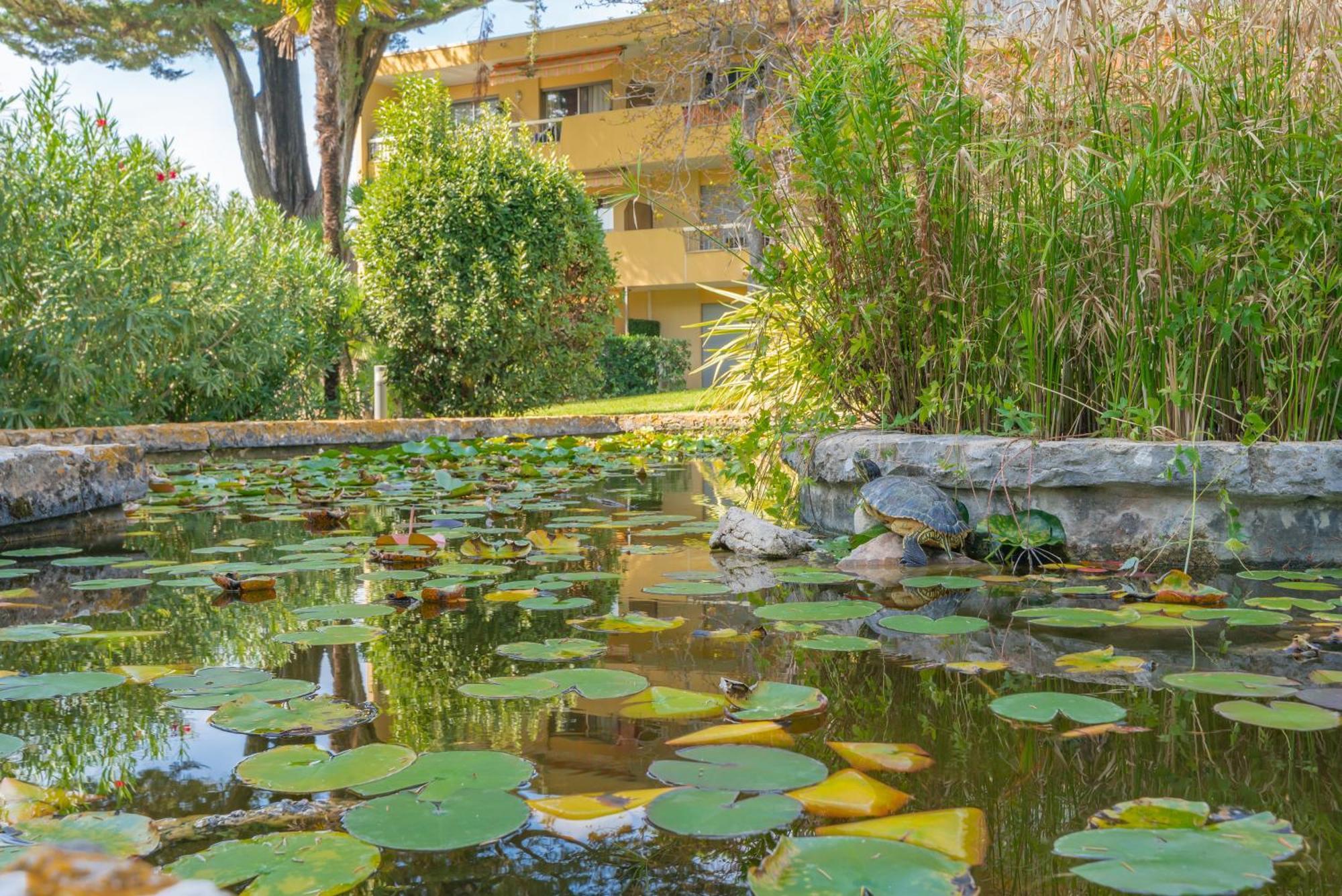 Les 15 Pins & La Mer -Your Green Getaway Near Sea & Beach Antibes Exteriér fotografie